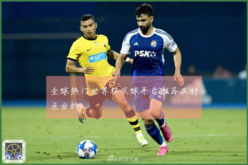 全球热门世界杯买球平台推荐及特点分析