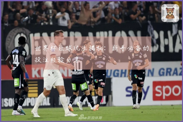 世界杯让球玩法揭秘：新手必备的投注经验分享