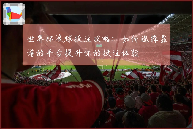 世界杯滚球投注攻略：如何选择靠谱的平台提升你的投注体验