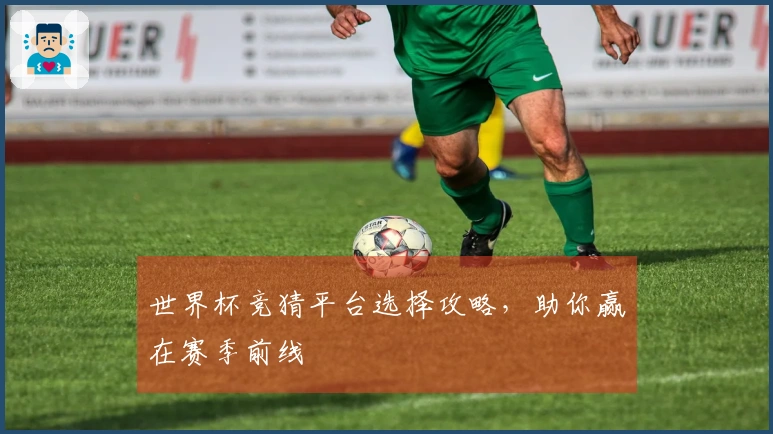 世界杯竞猜平台选择攻略，助你赢在赛季前线