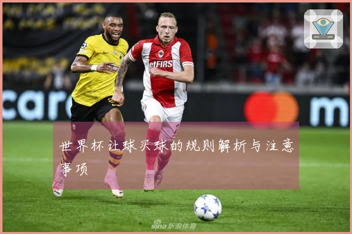 世界杯让球买球的规则解析与注意事项