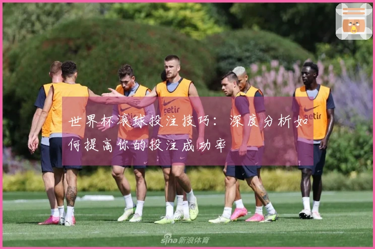 世界杯滚球投注技巧：深度分析如何提高你的投注成功率