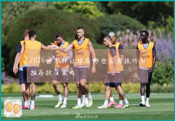 2026世界杯让球有哪些实用技巧和推荐投注策略