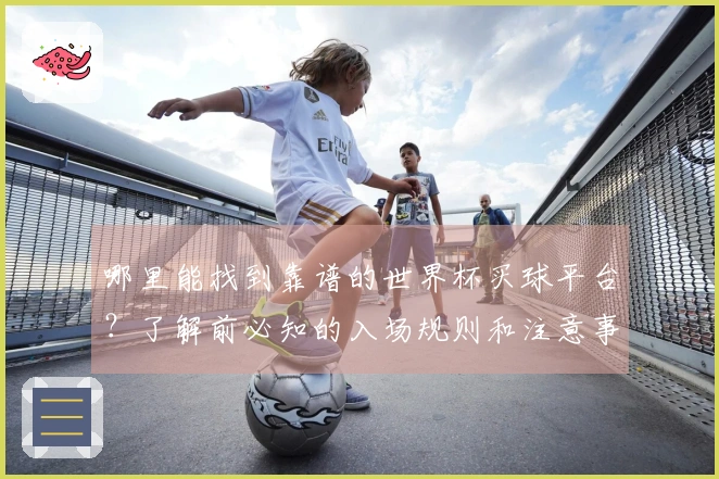 哪里能找到靠谱的世界杯买球平台？了解前必知的入场规则和注意事项