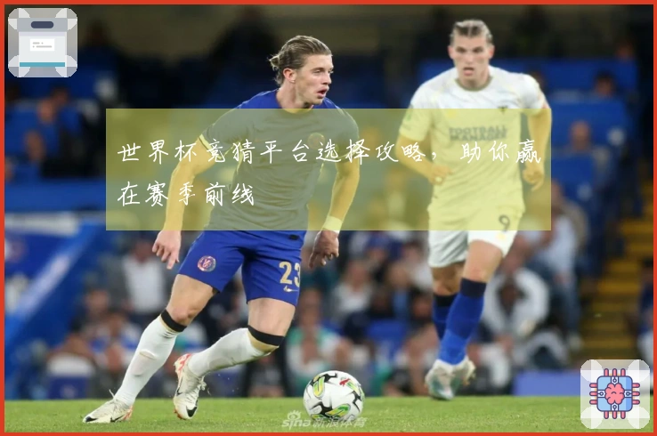 世界杯竞猜平台选择攻略，助你赢在赛季前线