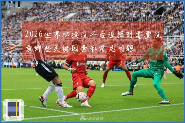 2026世界杯投注平台选择时需要注意哪些关键因素和常见问题