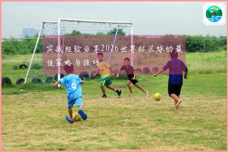 实战经验分享2026世界杯买球的最佳策略与技巧