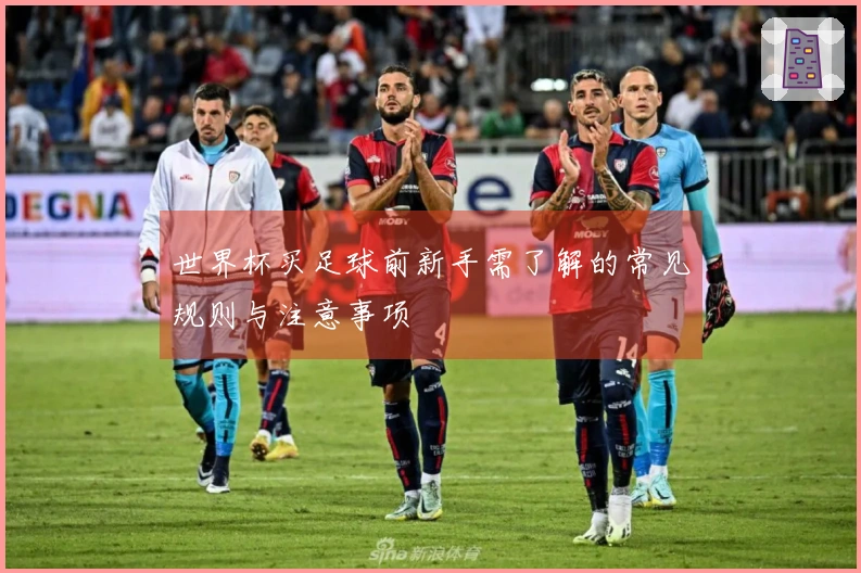 世界杯买足球前新手需了解的常见规则与注意事项
