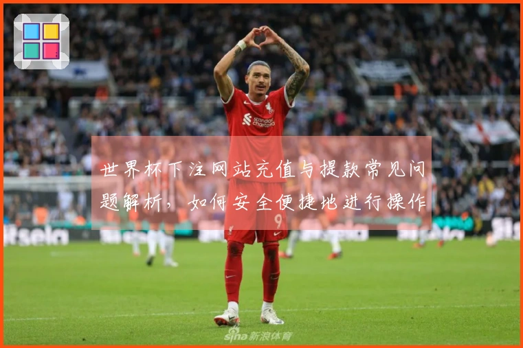 世界杯下注网站充值与提款常见问题解析，如何安全便捷地进行操作？