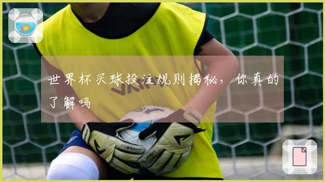 世界杯买球投注规则揭秘，你真的了解吗