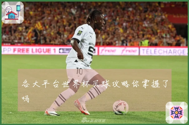 各大平台世界杯买球攻略你掌握了吗