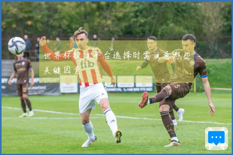世界杯投注平台选择时需注意哪些关键因素