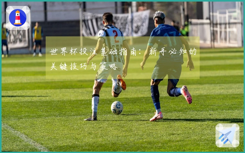 世界杯投注基础指南：新手必知的关键技巧与策略
