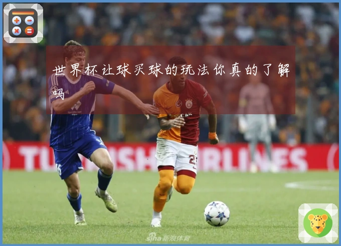 世界杯让球买球的玩法你真的了解吗