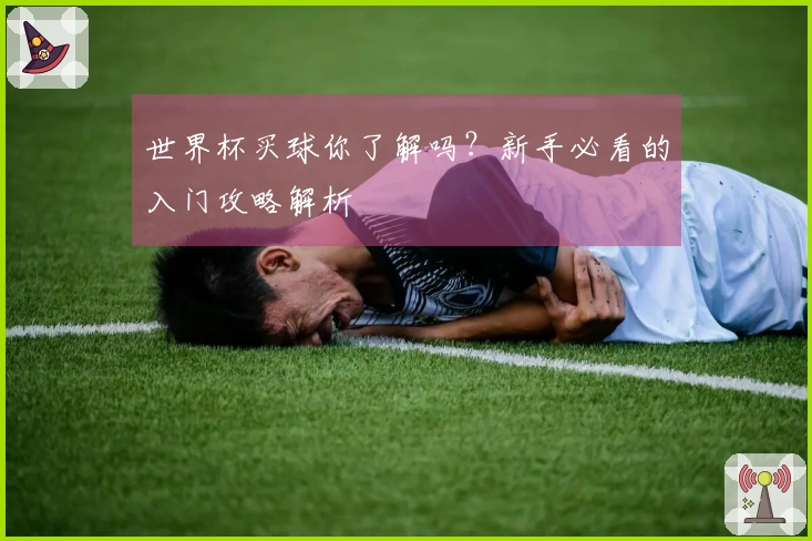 世界杯买球你了解吗？新手必看的入门攻略解析