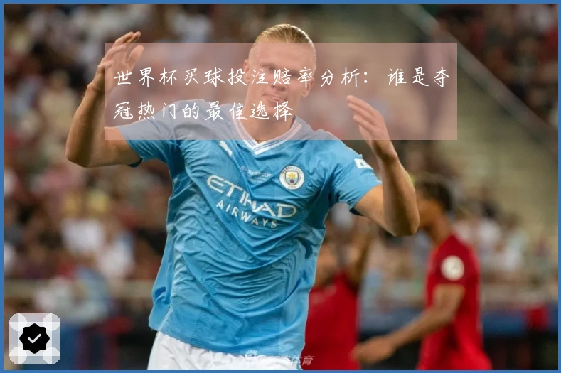 世界杯买球投注赔率分析：谁是夺冠热门的最佳选择