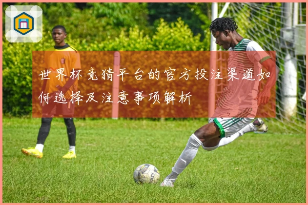 世界杯竞猜平台的官方投注渠道如何选择及注意事项解析