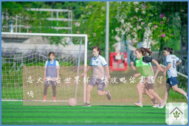 各大平台世界杯买球攻略你掌握了吗