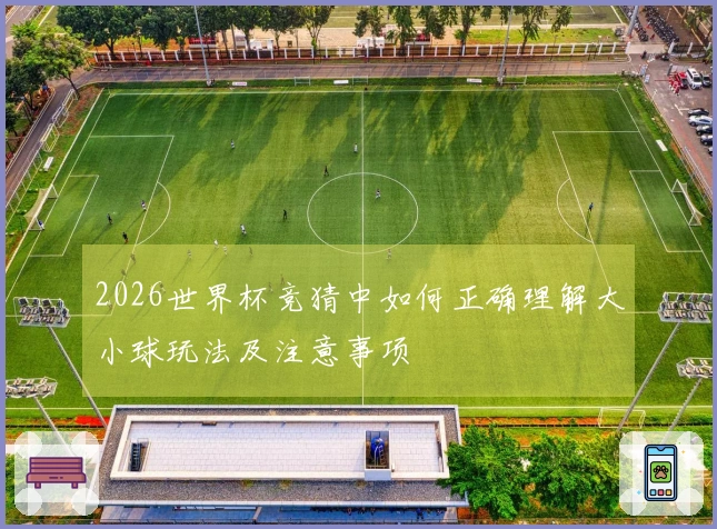2026世界杯竞猜中如何正确理解大小球玩法及注意事项