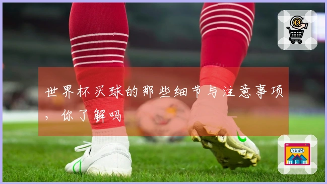 世界杯买球的那些细节与注意事项，你了解吗