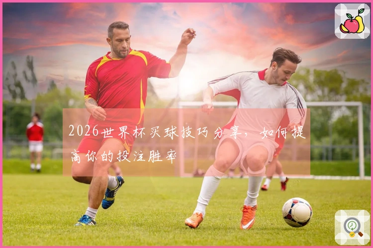 2026世界杯买球技巧分享，如何提高你的投注胜率