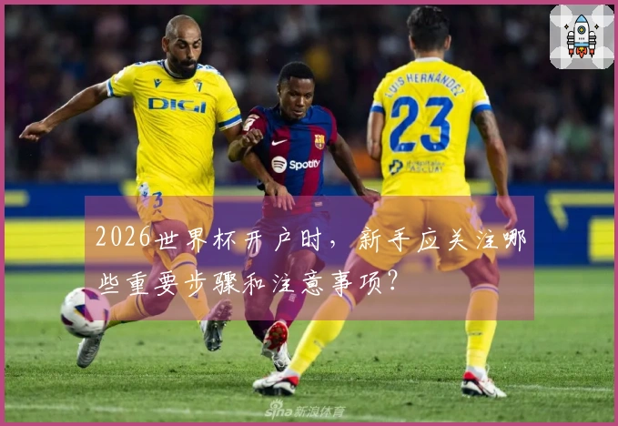 2026世界杯开户时，新手应关注哪些重要步骤和注意事项？
