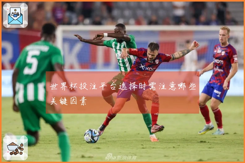 世界杯投注平台选择时需注意哪些关键因素