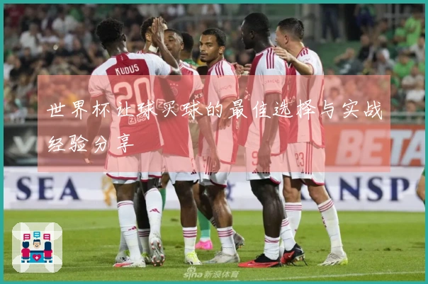世界杯让球买球的最佳选择与实战经验分享