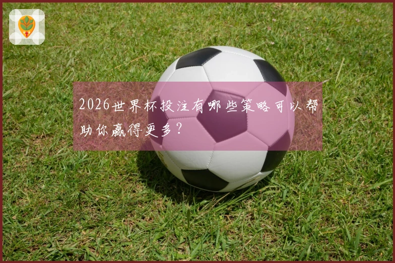 2026世界杯投注有哪些策略可以帮助你赢得更多？