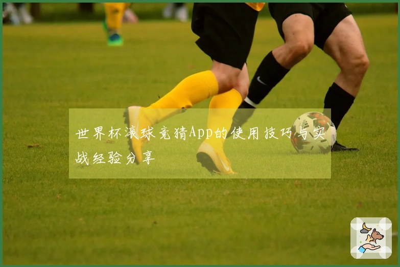 世界杯滚球竞猜App的使用技巧与实战经验分享