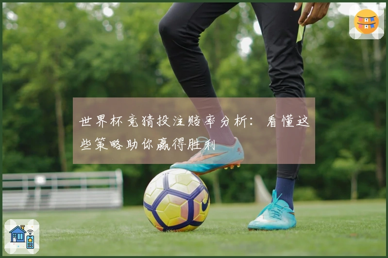 世界杯竞猜投注赔率分析：看懂这些策略助你赢得胜利